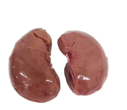 Fresh Kidneys